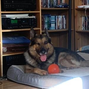 Meet your Posher, Chelsi